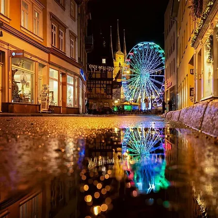 -apartment Am Luisenpark-perfekte Lage Im Gruenen Fuer Ihren Aufenthalt Appartamento Erfurt