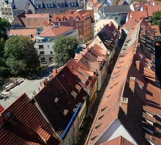 Daire -apartment Am Luisenpark-perfekte Lage Im Gruenen Fuer Ihren Aufenthalt