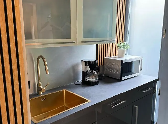 Apartament -apartment Am Luisenpark-perfekte Lage Im Gruenen Fuer Ihren Aufenthalt