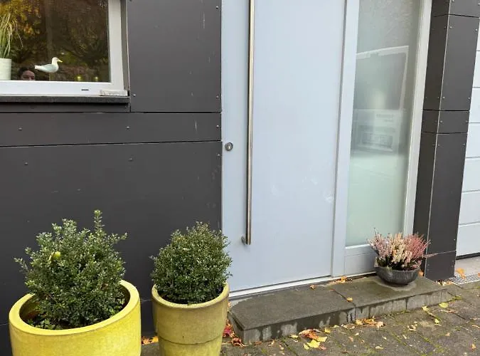 Apartament -apartment Am Luisenpark-perfekte Lage Im Gruenen Fuer Ihren Aufenthalt Erfurt